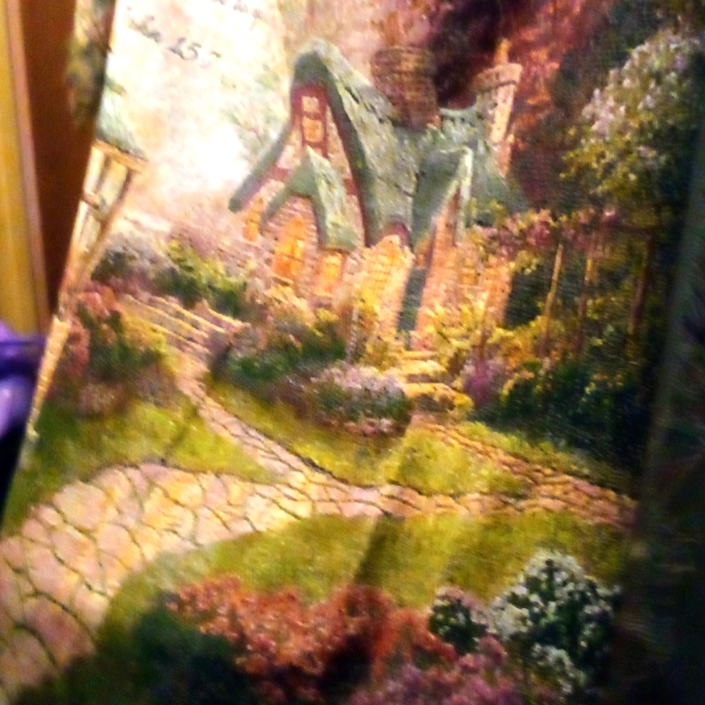 Thomas Kinkade throw